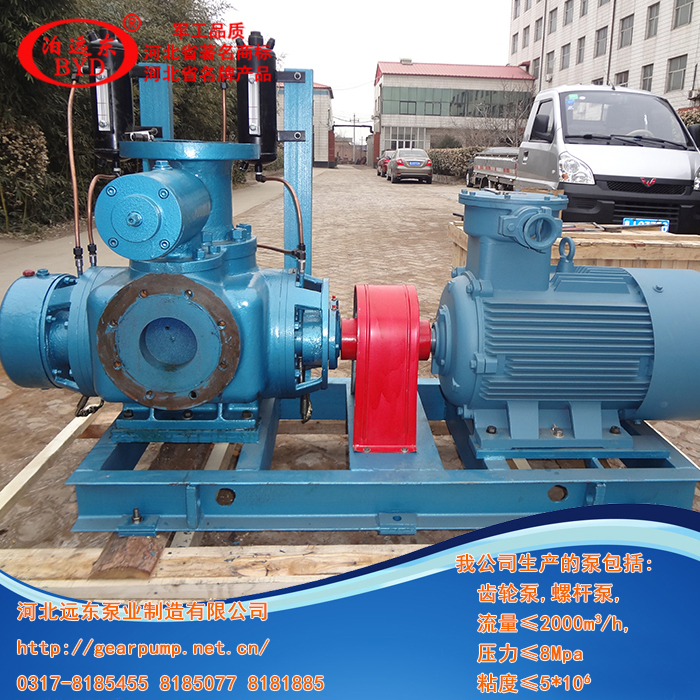 液化氣輸(shū)送泵,雙螺(luo)杆泵