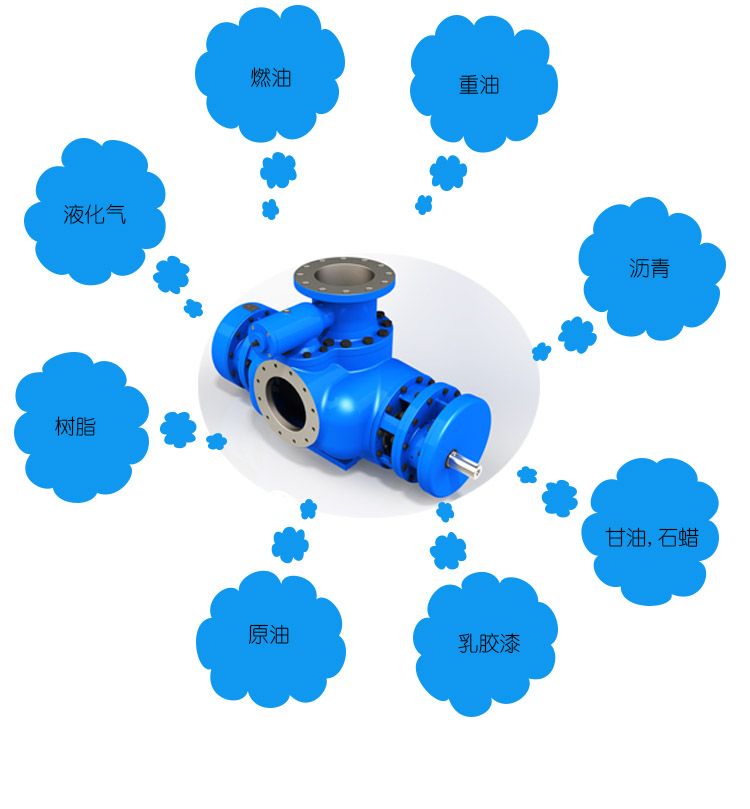 雙螺杆(gan)泵選型(xíng)