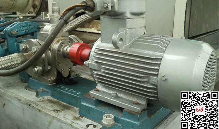 不鏽鋼齒(chǐ)輪泵